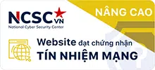 site chất lượng